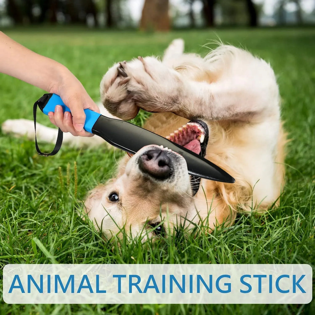 Blue handled nylon dog break stick measuring 35cm for training small and medium dogs.