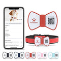 NFC smart QR code silicone pet tag with bowknot in black, blue, pink, red on dog collar