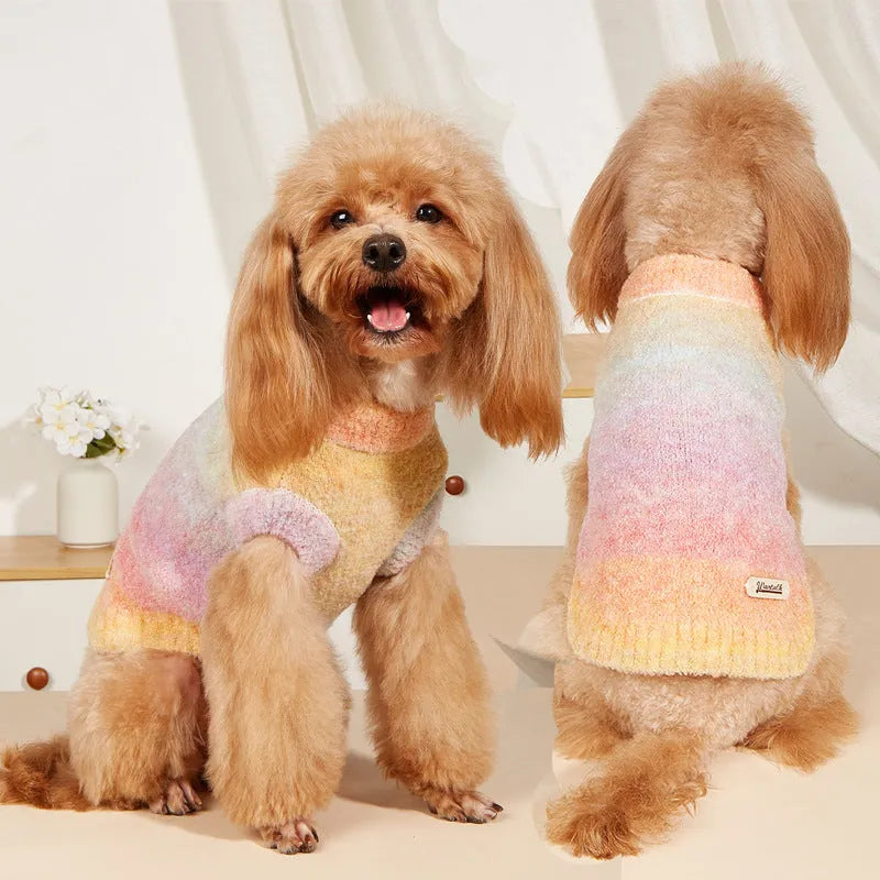 Dopamine pet sweater with rainbow circles on a dog, available in styles 1 and 2, sizes S to XXL