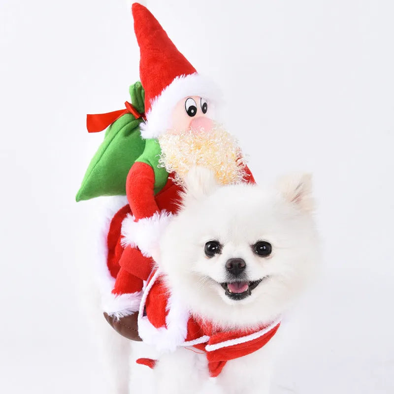 Halloween dog costume with bat wings, devil, pumpkin and scissor hand design options