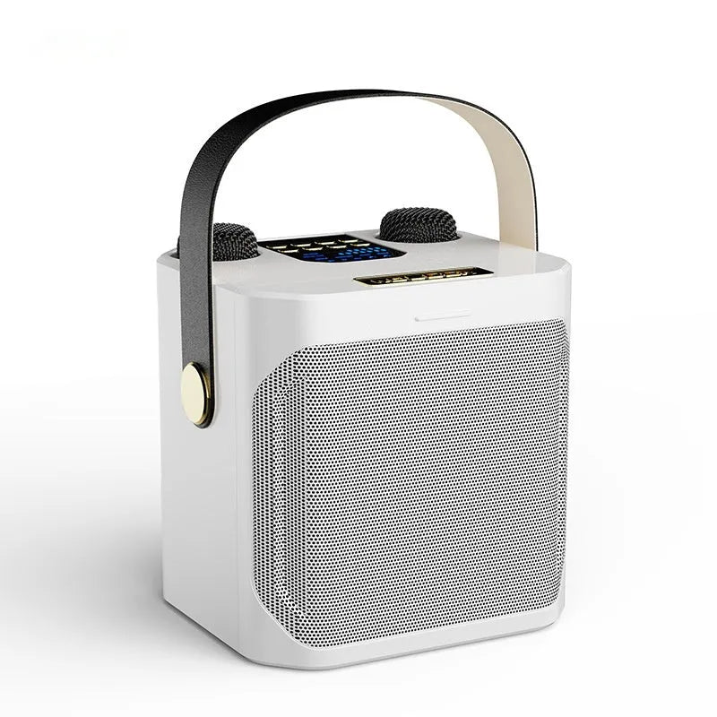 Dual stereo portable karaoke speaker system with two wireless microphones in black
