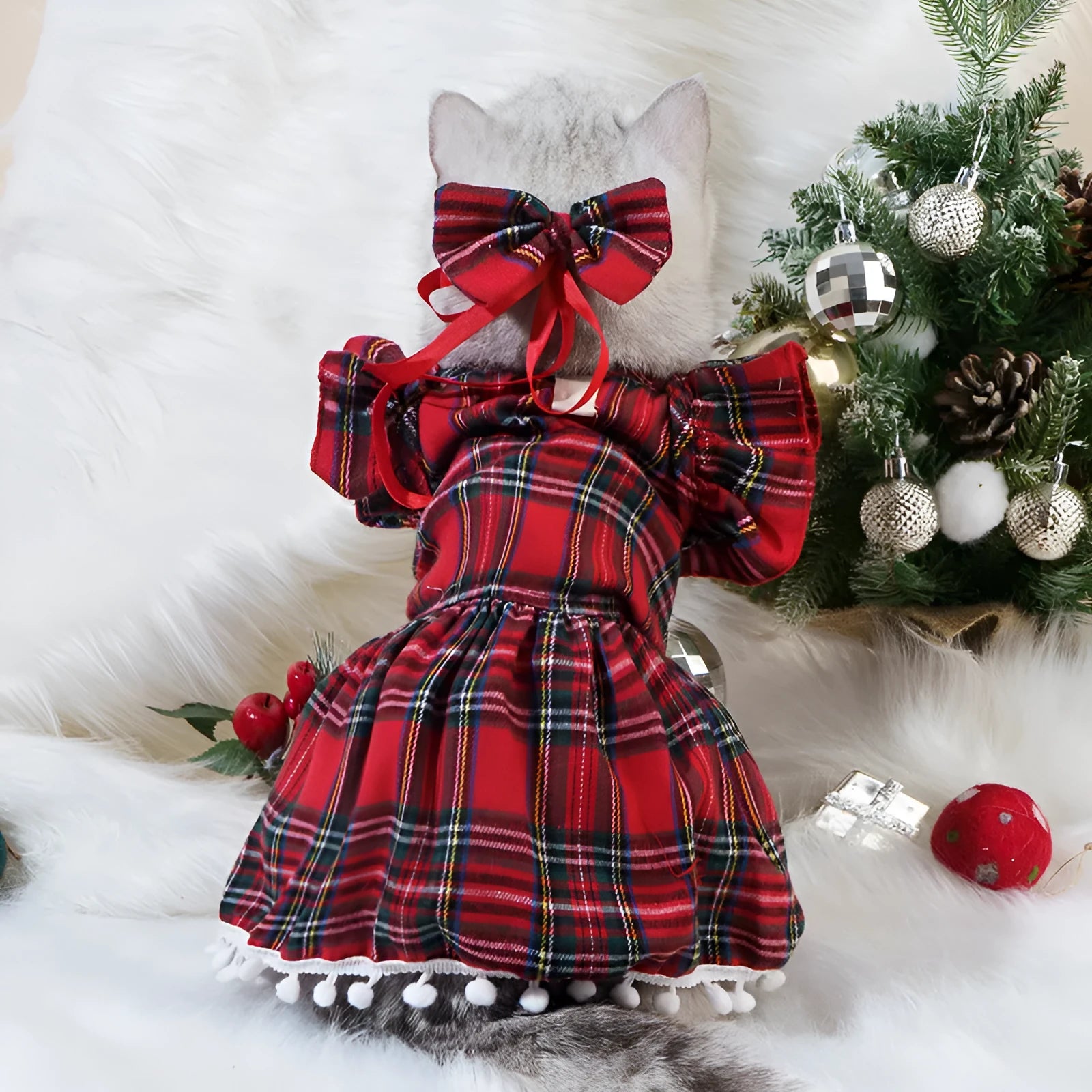 Red tartan Christmas skirt and matching head flower on a pet, with a jingling bell necklace accessory.