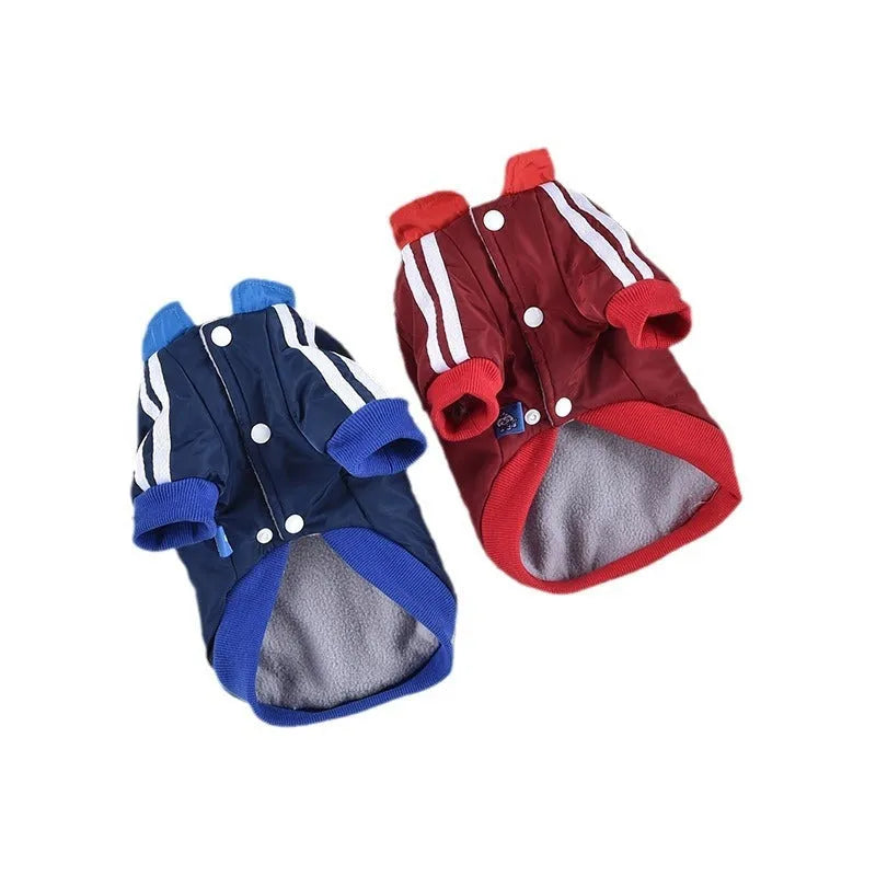 Red and blue V-shaped splicing dog coat on a mannequin showing size range XS to 3L