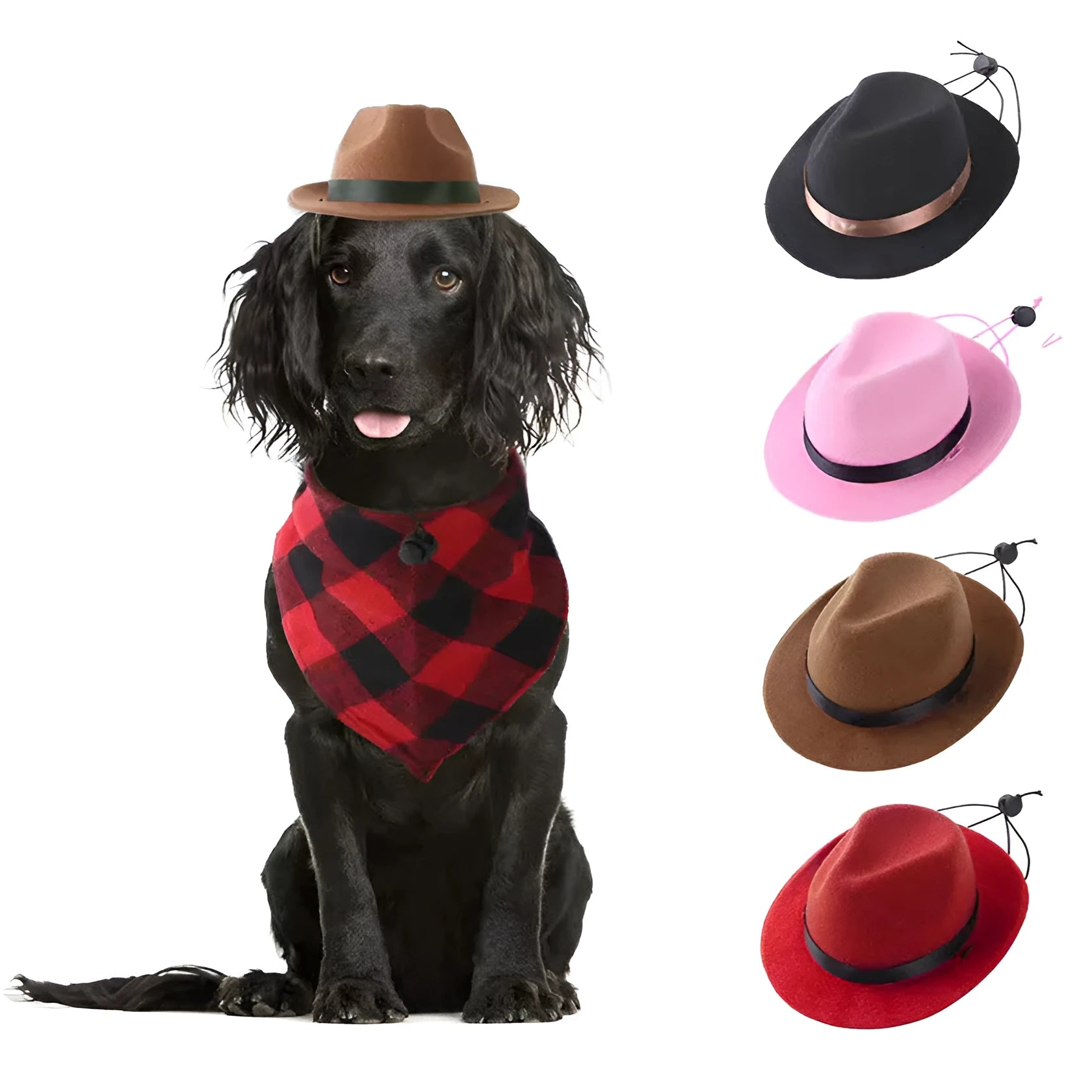S size 155 cm diameter wool felt mini pet hat in pink, black, brown, or red colour for small pets
