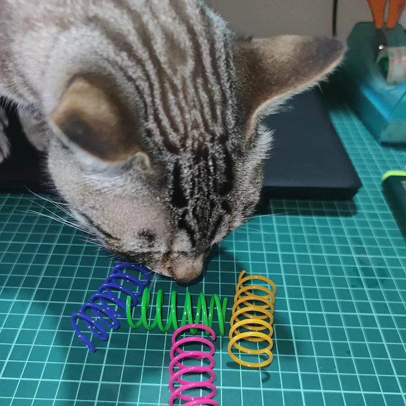 Colourful plastic coil spring toys for cats on a wooden floor.