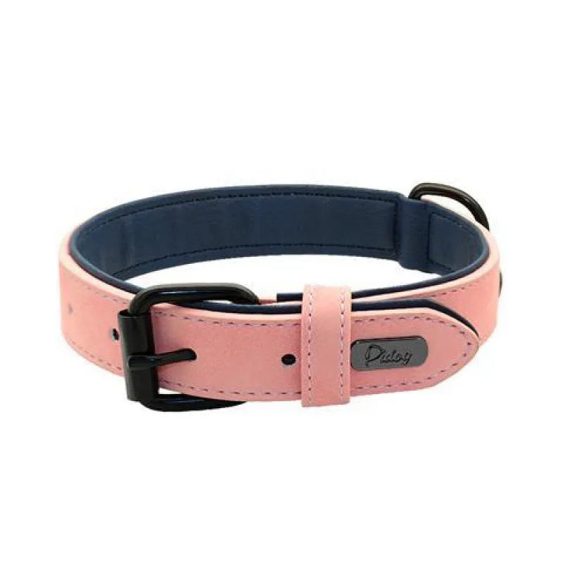 Adjustable dog collar with double-layer thickened construction in purple, blue, green, pink, or brown