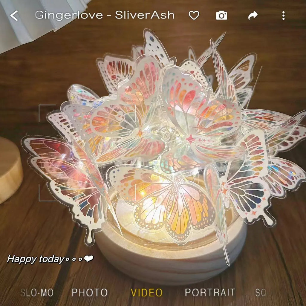 Butterfly night lamp DIY kit with glass lampshade and raw wood base, measuring 12cm by 15cm.