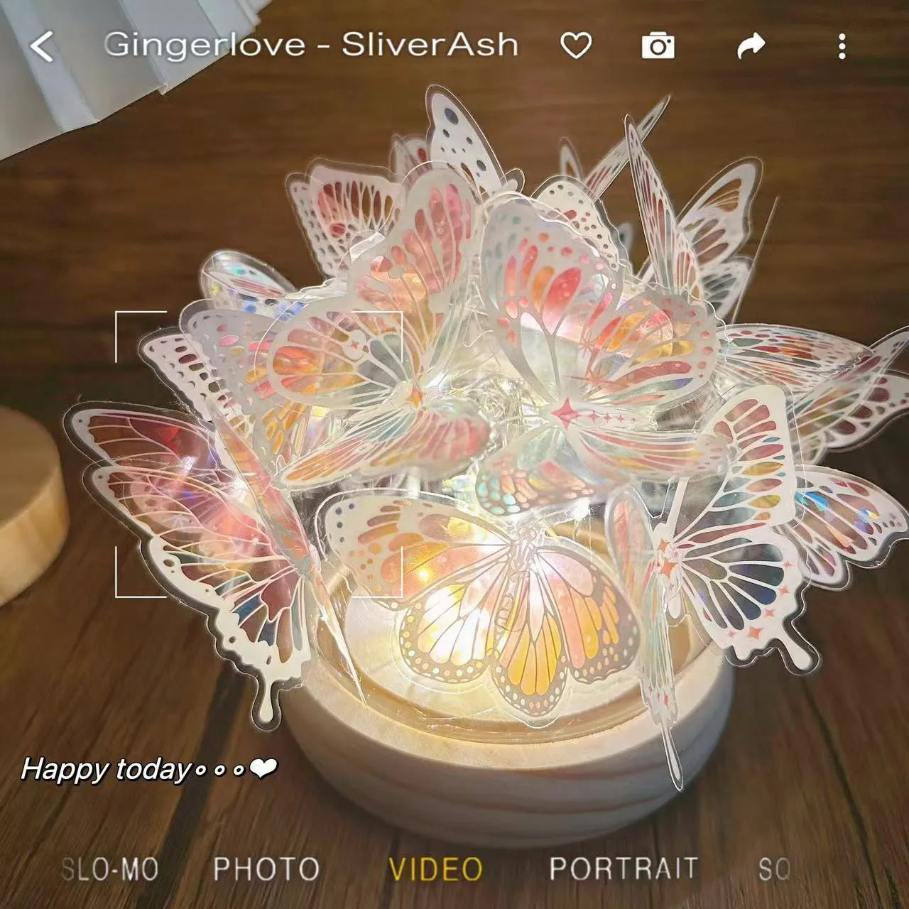 Butterfly night lamp DIY kit with glass lampshade and raw wood base, measuring 12cm by 15cm.