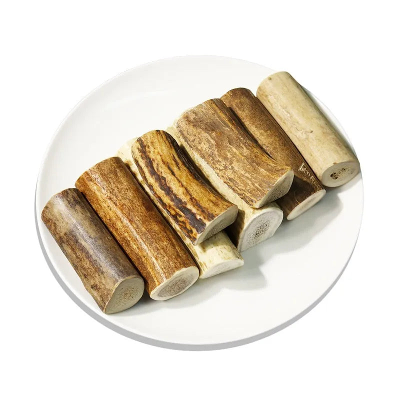 Natural antler dog chew in small, medium or large size – bite-resistant dental snack for teeth cleaning.