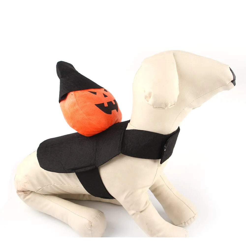 Dog wearing a PP cotton Halloween costume in a ghost or pumpkin ghost design.