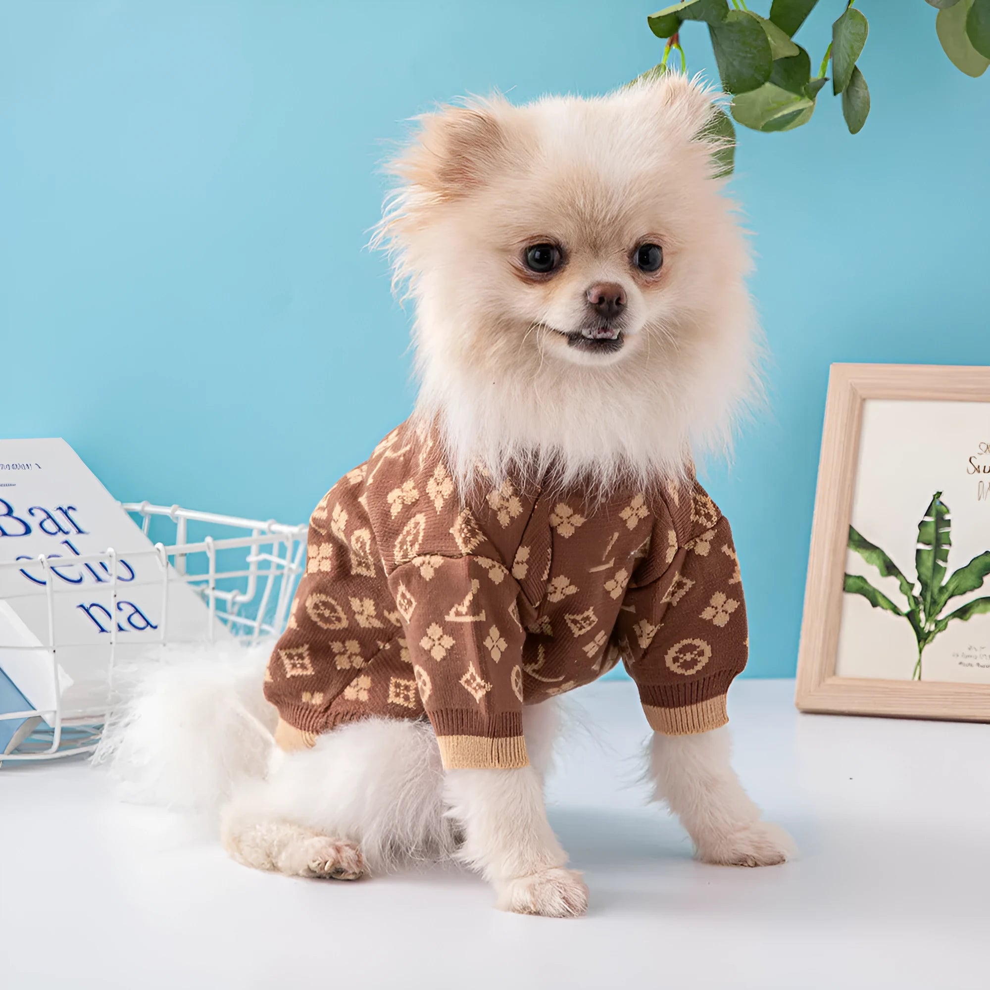 Wool dog sweater in a European style for autumn and winter, shown in a two-tone colour.