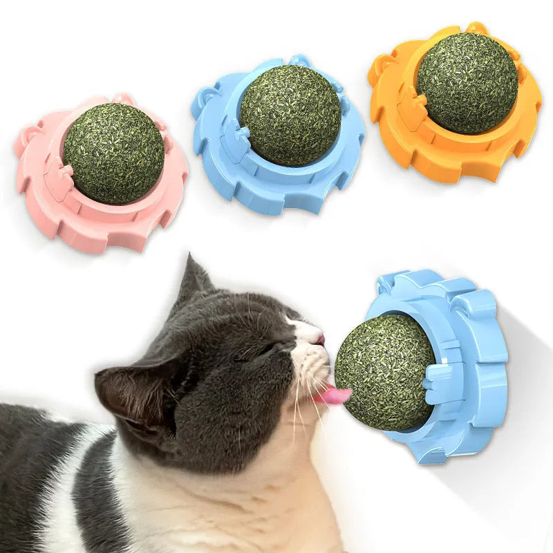 Orange molar-shaped cat toy with dental cleaning ridges and catnip infusion