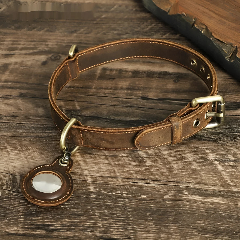 Brown handmade leather dog collar with retro styling and halter positioning for tracking