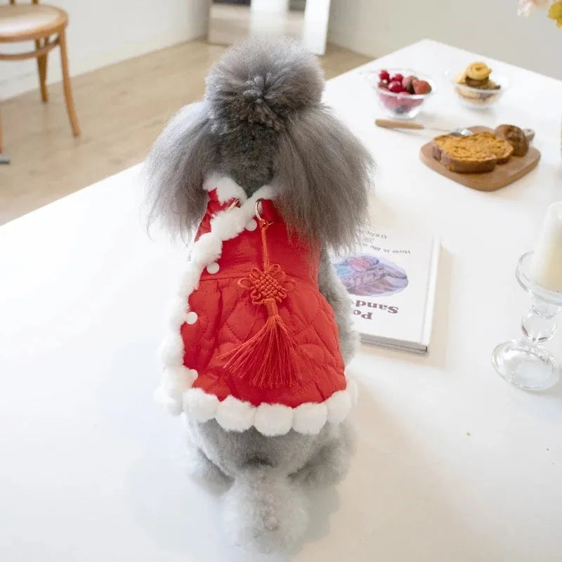 Red Chinese New Year dog clothing with thick cotton collar and traditional knot decoration