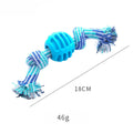 Blue molar-shaped dog chew toy with an integrated rope for dental care and play.