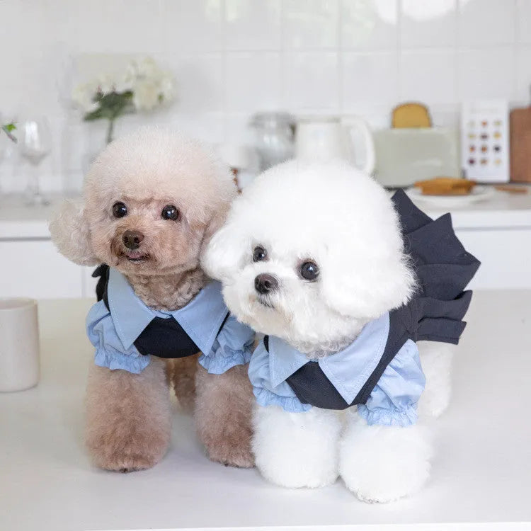 Dark grey polyester dog jumper on a mannequin, showing casual style.