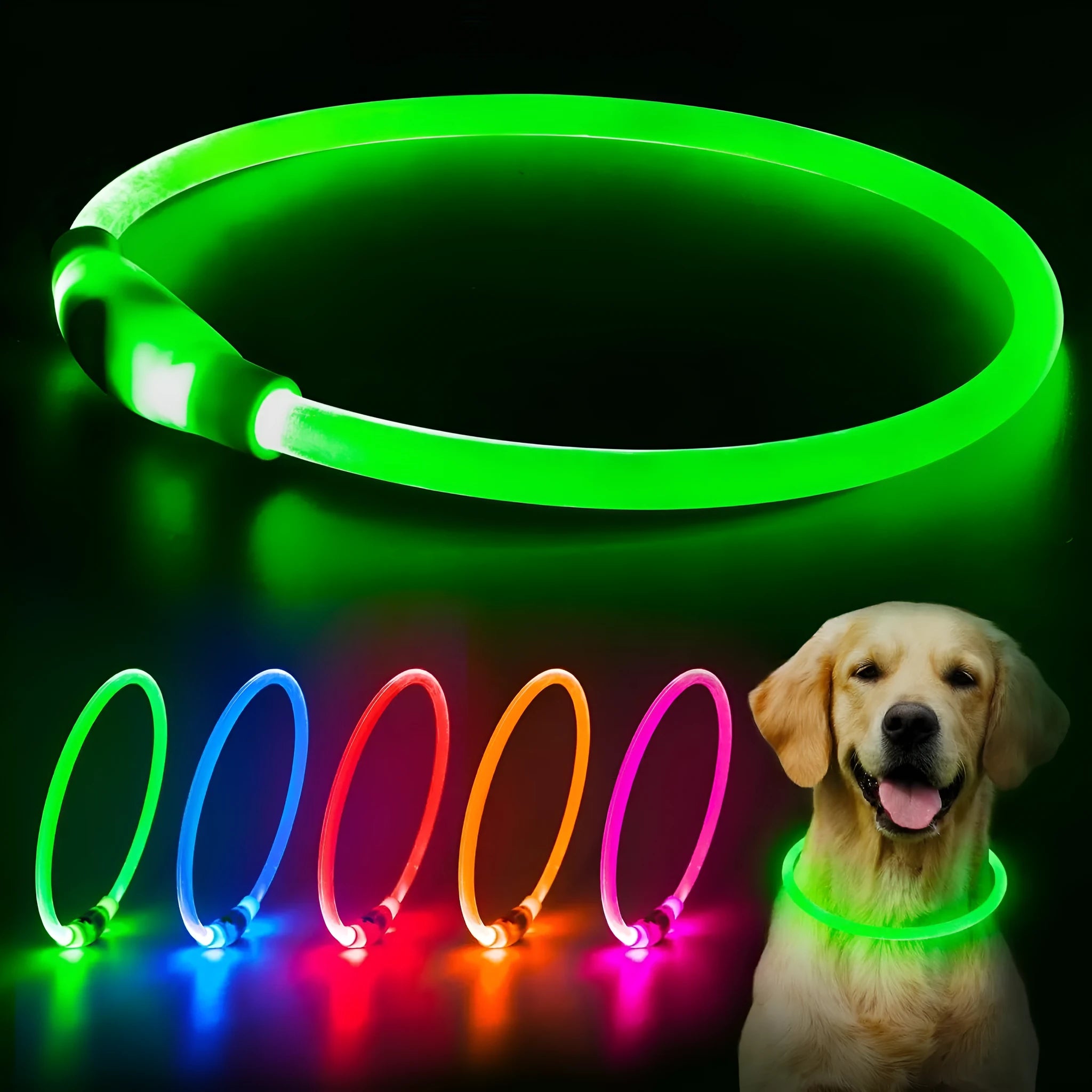 Blue rechargeable LED dog collar glowing around a dog's neck on a dark background.