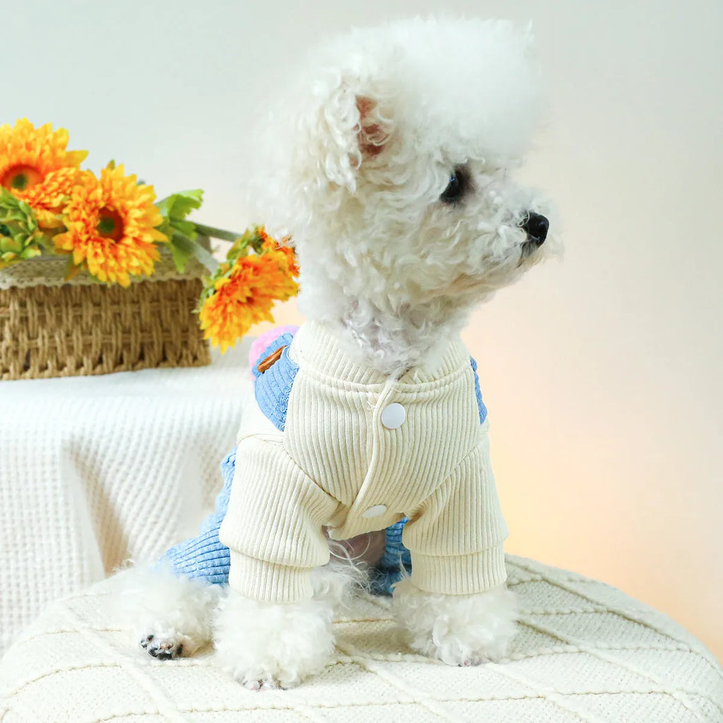 Elf-style polyester pet overalls on small dog or cat, casual design, available in sizes XS to XL