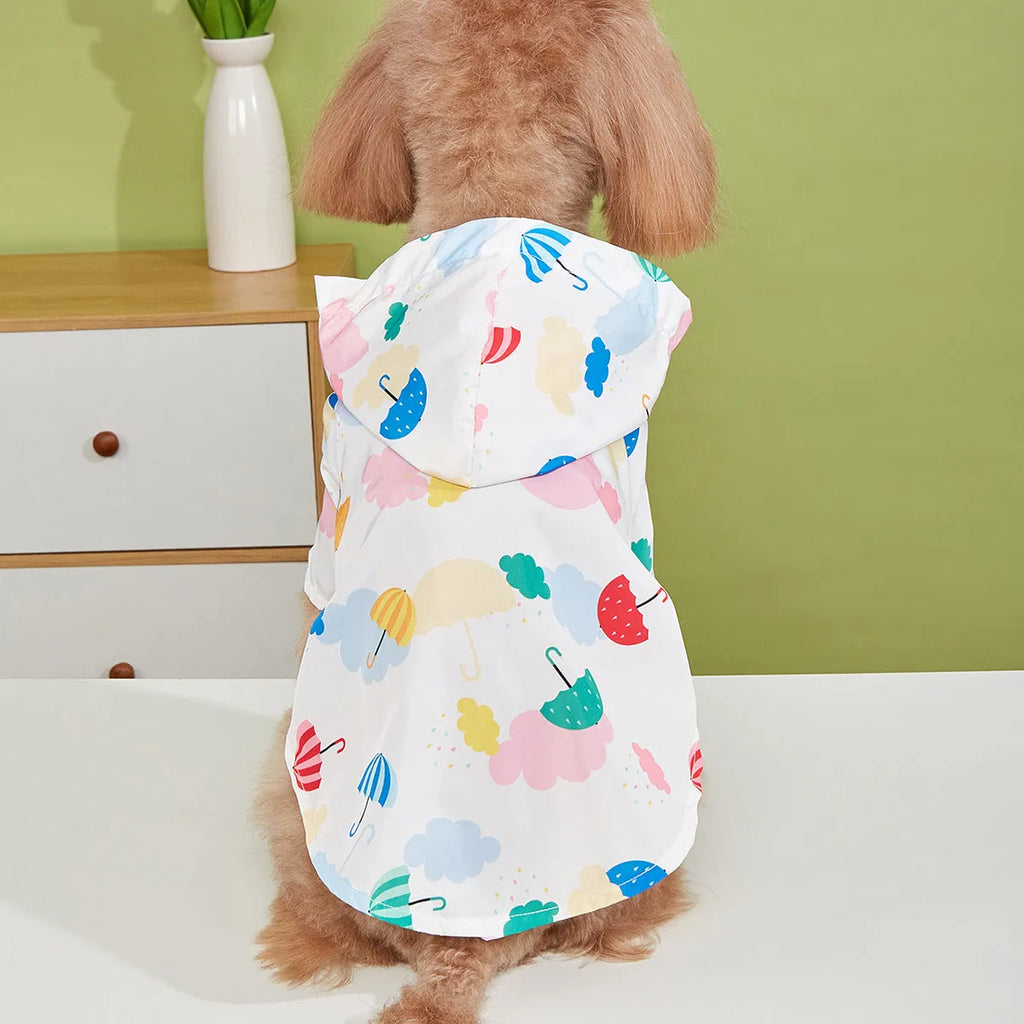 Small white dog wearing a colourful cartoon umbrella pattern polyester raincoat outdoors.