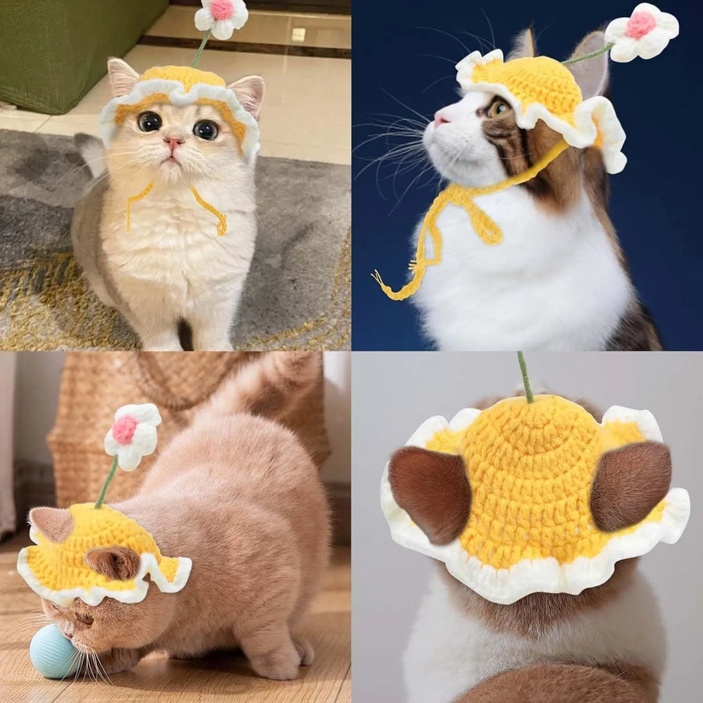 Knitted cat and dog hat in green pink yellow colours with cartoon design for pets