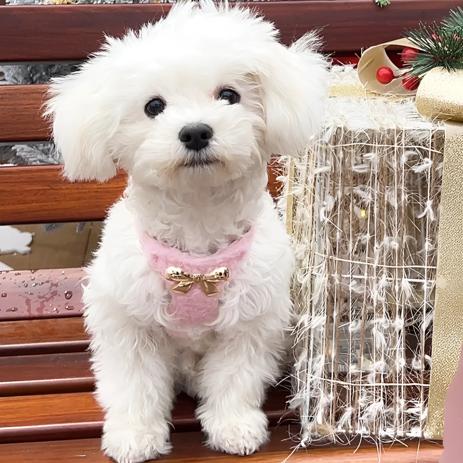 Dog fleece vest chest strap with hand holding rope in Ryukin pink colour, XXS size