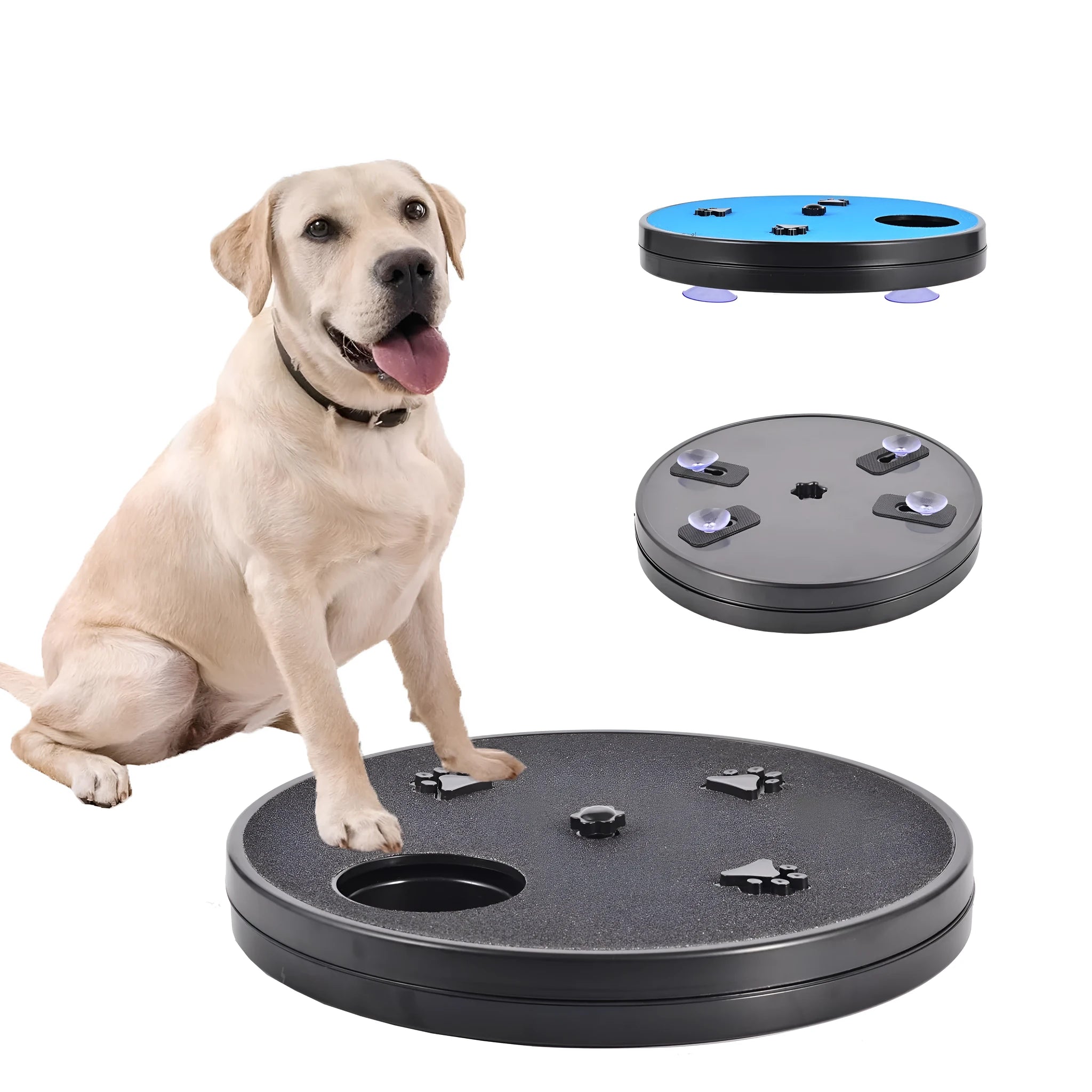 Rotating dog nail file board with six food compartments and sandpaper surface