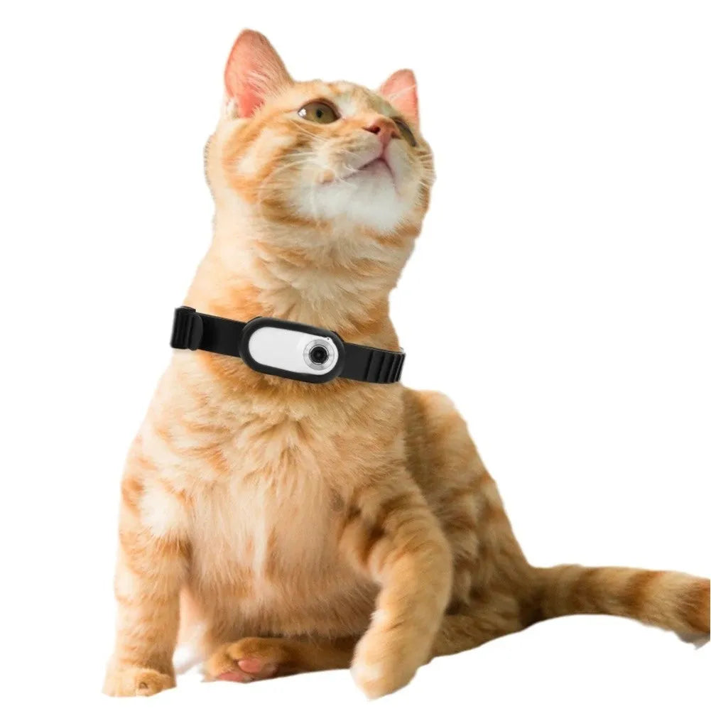 White thumb pet camera with silicone collar for cats, compact design on a collar
