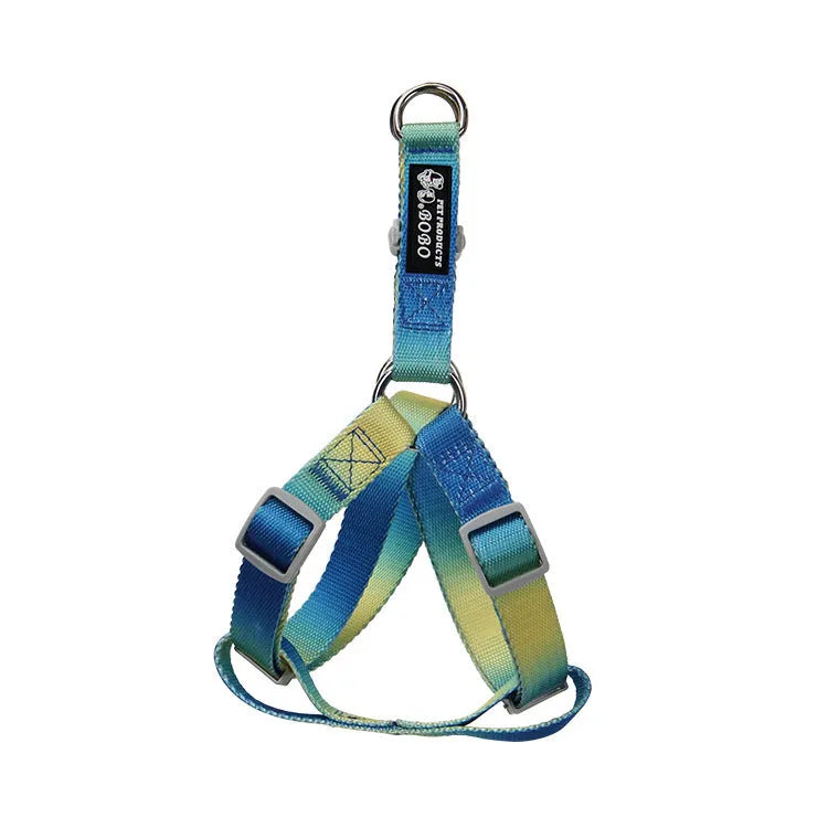 Gradient colour nylon dog leash showing pink-blue pattern with collar attachment