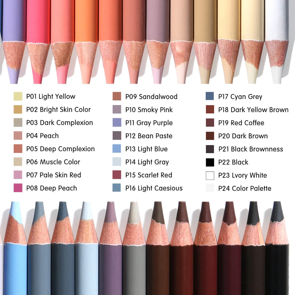 24 skin tone colour pencils in round iron brush pot for portrait artwork