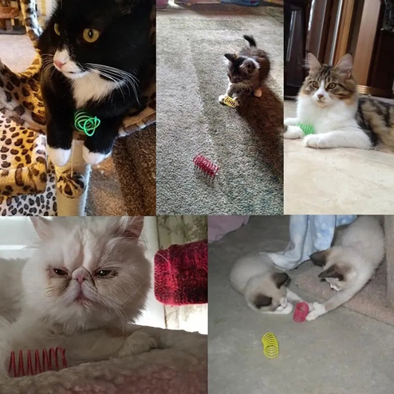 Colourful plastic coil spring toys for cats on a wooden floor.