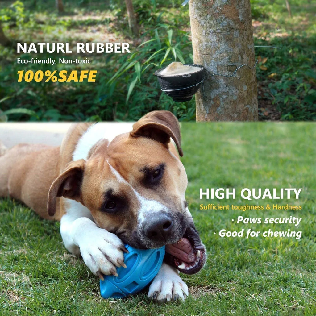 Natural latex rubber sounding rugby dog toy in sky blue with squeaker for fetch