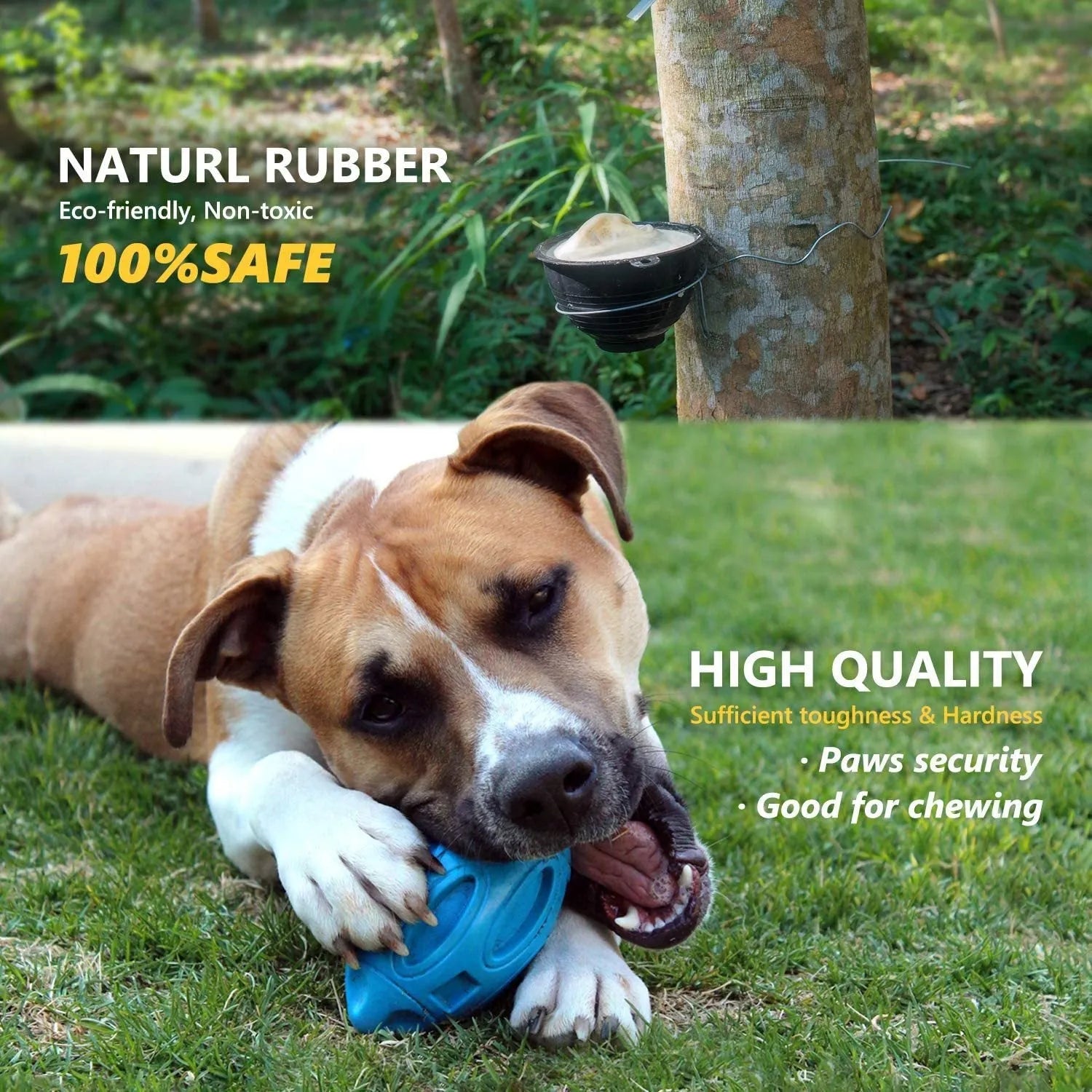 Natural latex rubber sounding rugby dog toy in sky blue with squeaker for fetch