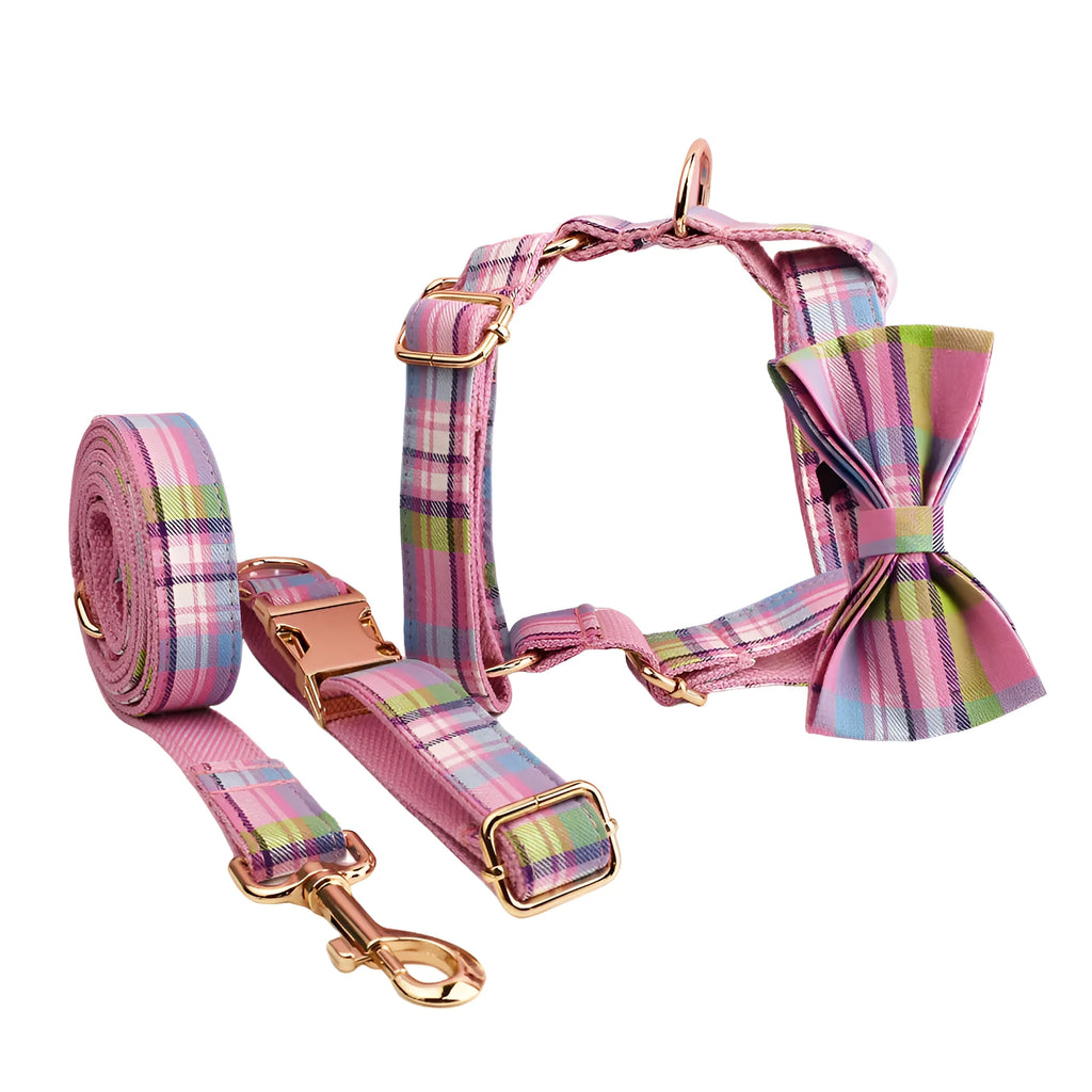 Four-piece dog accessory set showing collar, leash, vest and bow in cloth material
