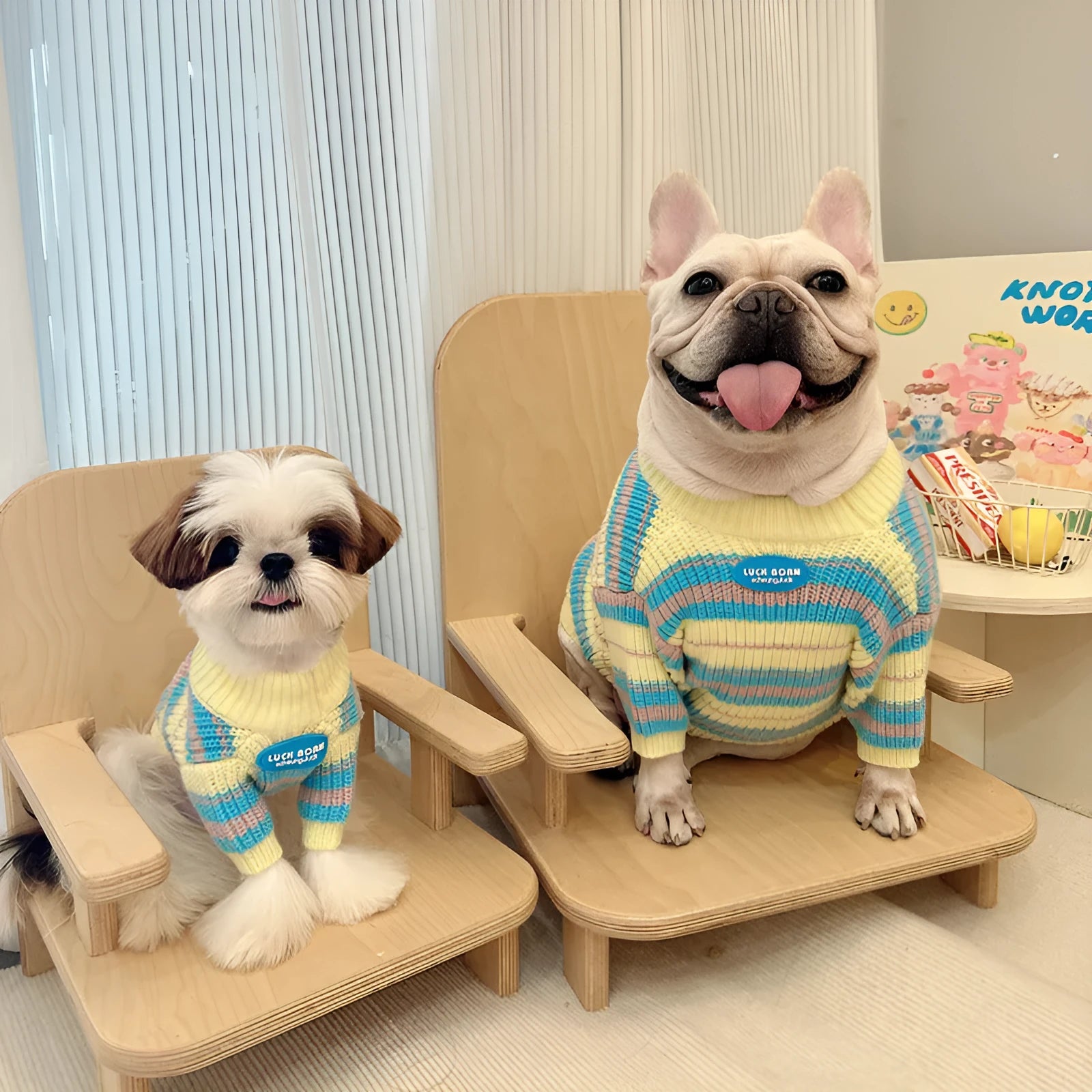 Blue and yellow striped wool dog sweater for small breeds showing size options from XS to XXL