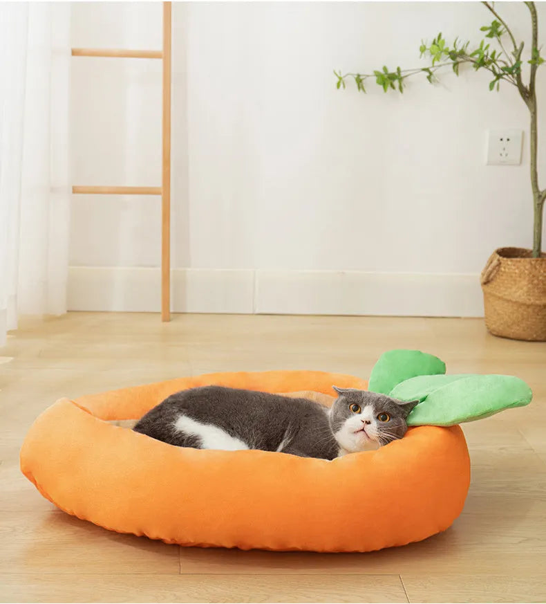 Carrot-shaped enclosed dog nesting bed with a soft blanket, shown in medium and large sizes.