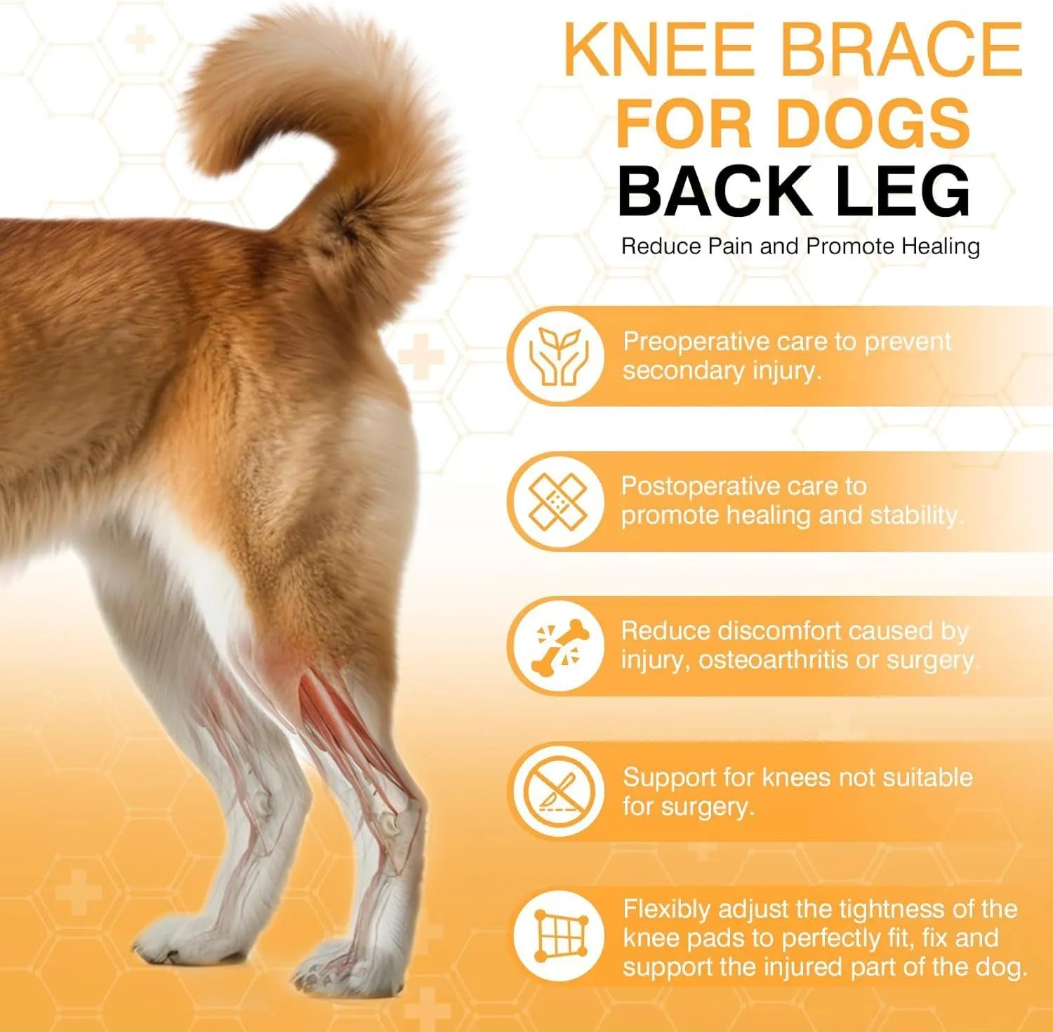 Dog leg protector knee brace with auxiliary belt for joint protection in small medium and large sizes