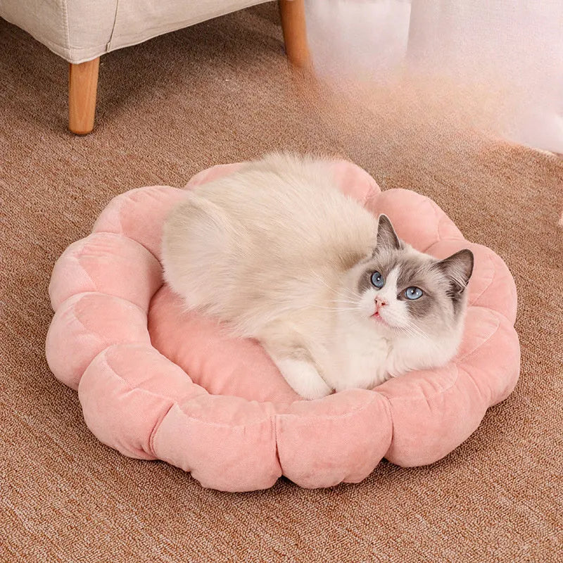50x50cm half-surrounded pet bed in plush fabric showing blue colour option