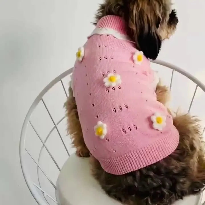 Green and pink blossom flower patterned sweater for a small dog on a sofa.