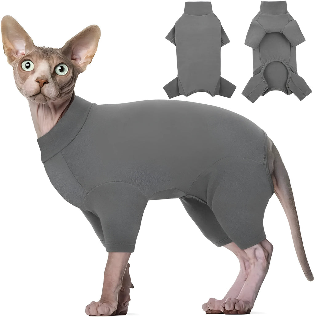 Grey sphynx cat wearing soft turtleneck sweater with two leg openings for winter warmth