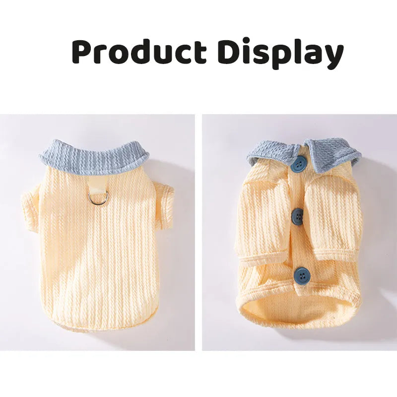 Yellow colour-block knit dog coat with bow tie collar on a small dog, suitable for autumn winter wear