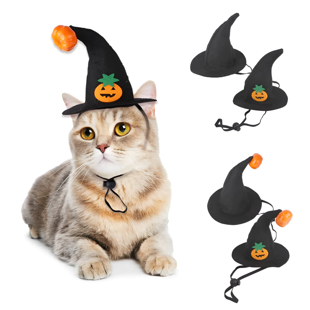 Pet cat wearing Halloween pumpkin hat costume with embossed cloth design