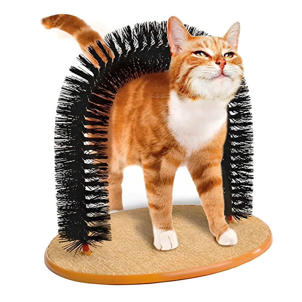 Arched cat grooming and scratcher toy with integrated brush bristles.