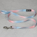 Gradient colour nylon dog leash showing pink-blue pattern with collar attachment