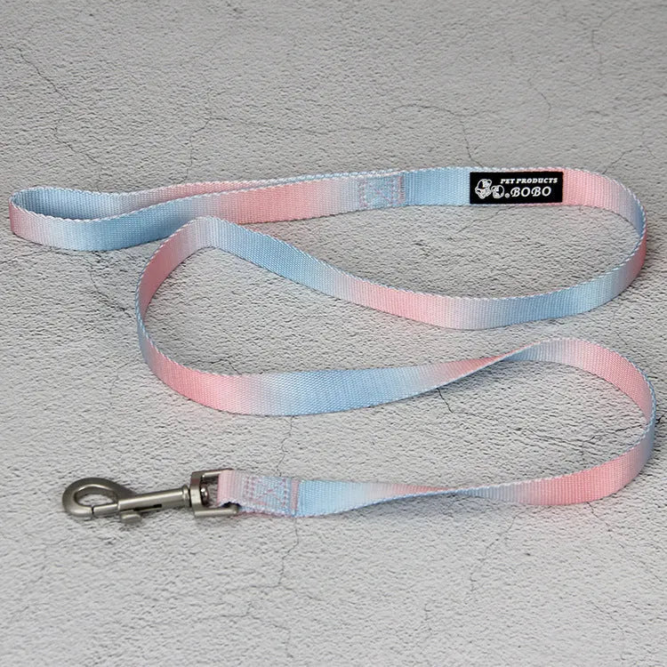Gradient colour nylon dog leash showing pink-blue pattern with collar attachment