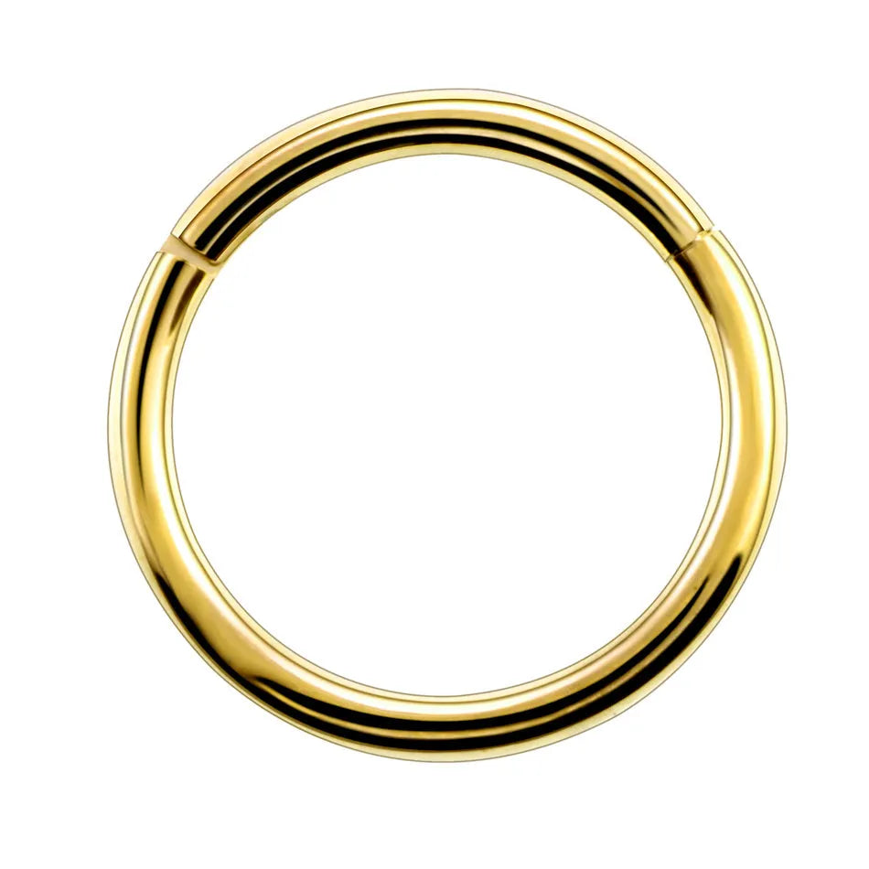 G23 titanium segment hinged clicker ring for septum nose piercing in rainbow colour finish