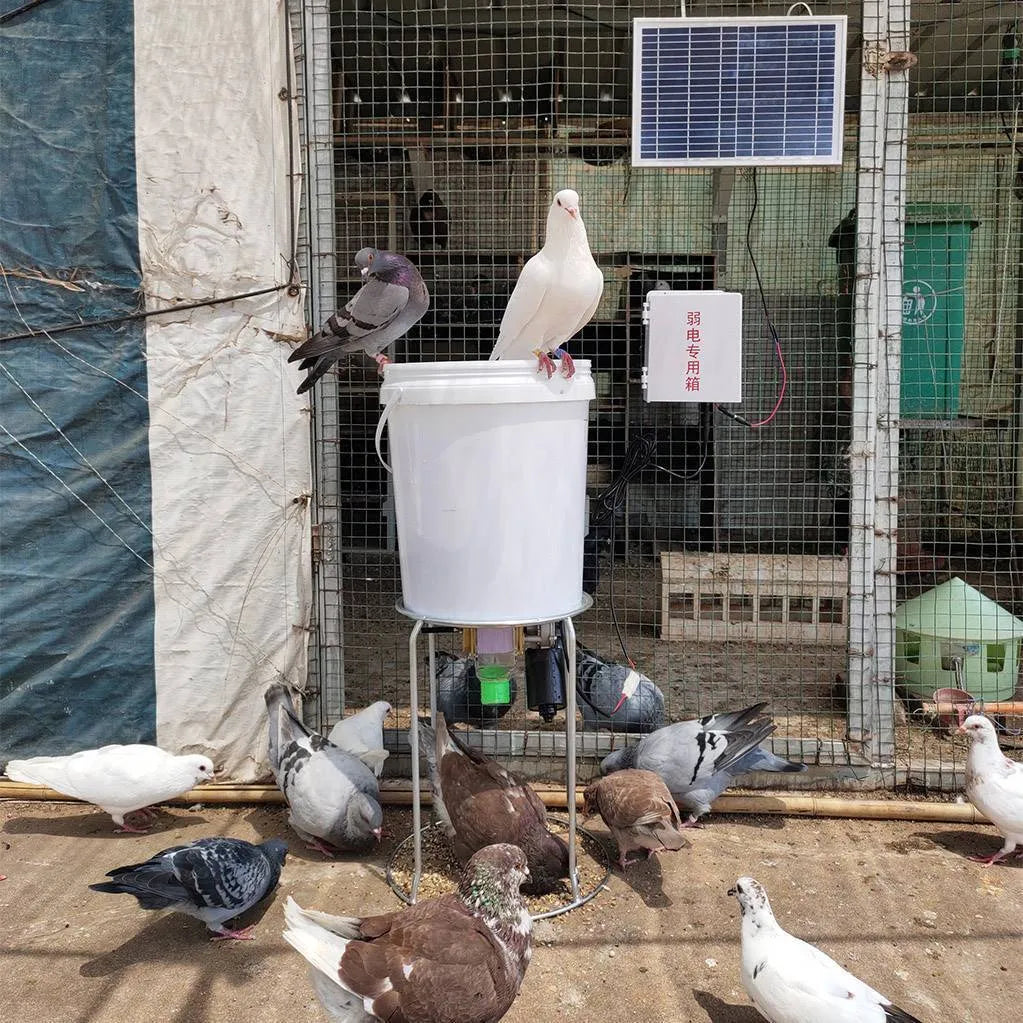 Automatic chicken feeding machine with solar panel and waterproof caisson housing for poultry farms