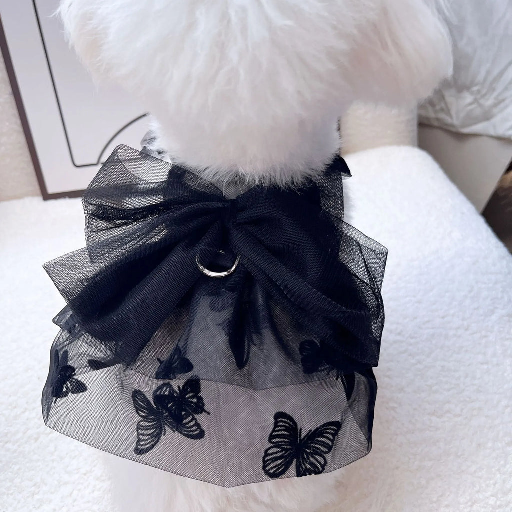 Black layered tulle princess skirt on a small dog, showing the full skirt silhouette and secure fit.