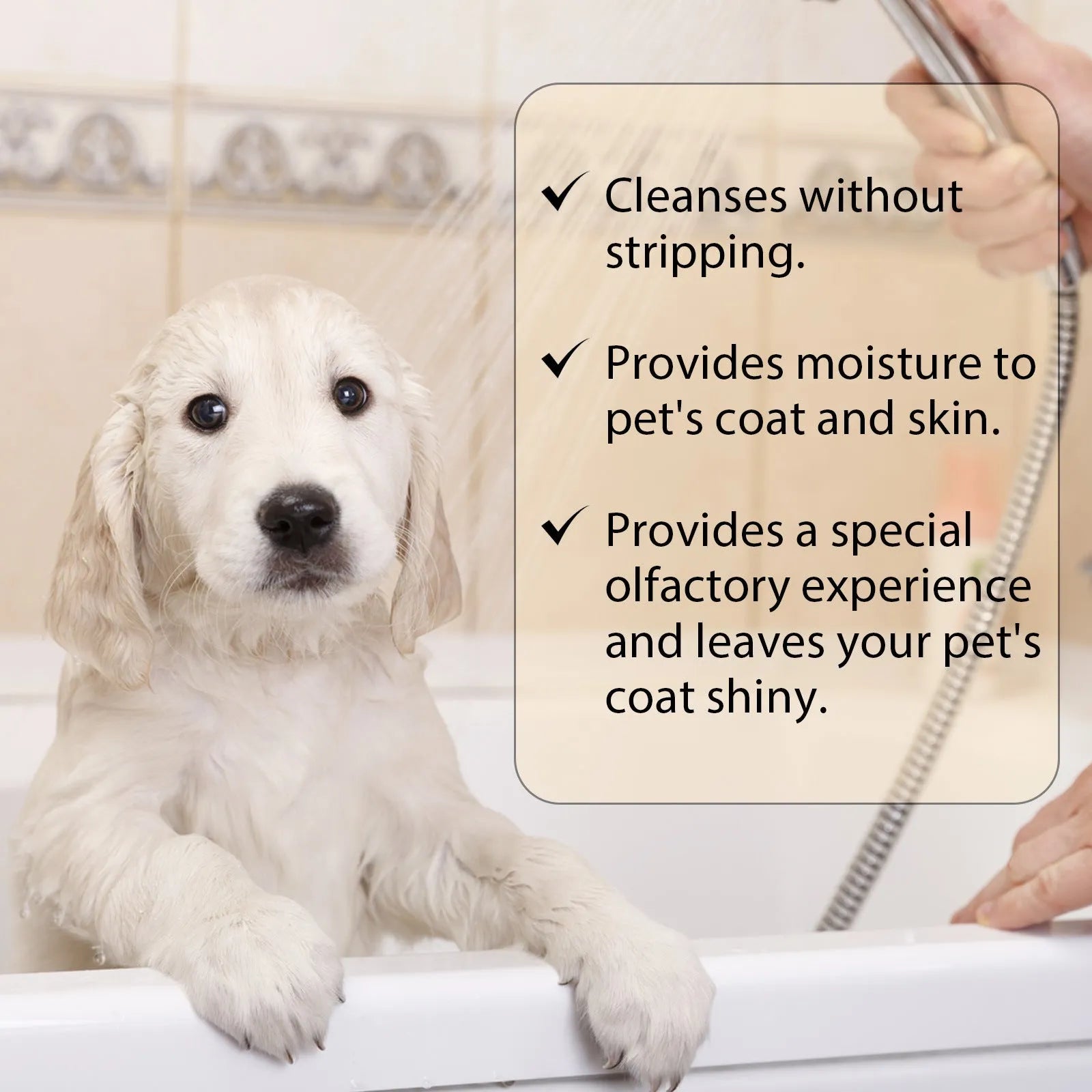 Mild pet shampoo bottle for cats and dogs in 100ml or 300ml sizes