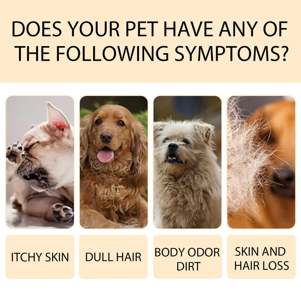 Mild pet shampoo bottle for cats and dogs in 100ml or 300ml sizes