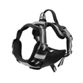 Adjustable dog chest harness in Oxford cloth showing eight colour options and four size variations